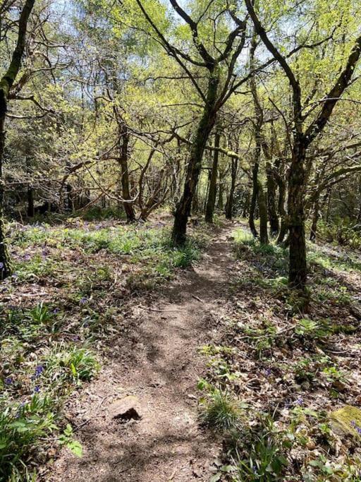 Welsh Newton Common The Mill Stylish Rural Apartment With Beautiful Views מראה חיצוני תמונה