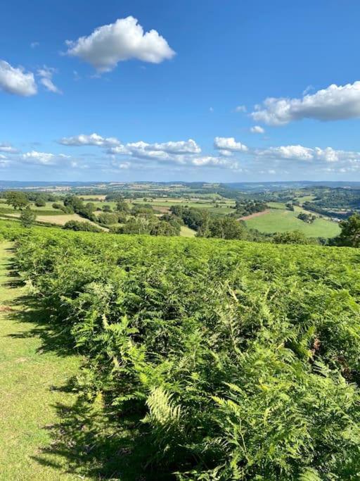 Welsh Newton Common The Mill Stylish Rural Apartment With Beautiful Views מראה חיצוני תמונה