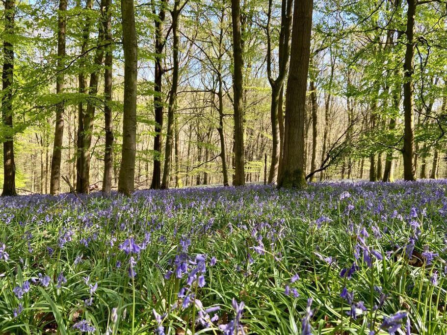 Welsh Newton Common The Mill Stylish Rural Apartment With Beautiful Views מראה חיצוני תמונה