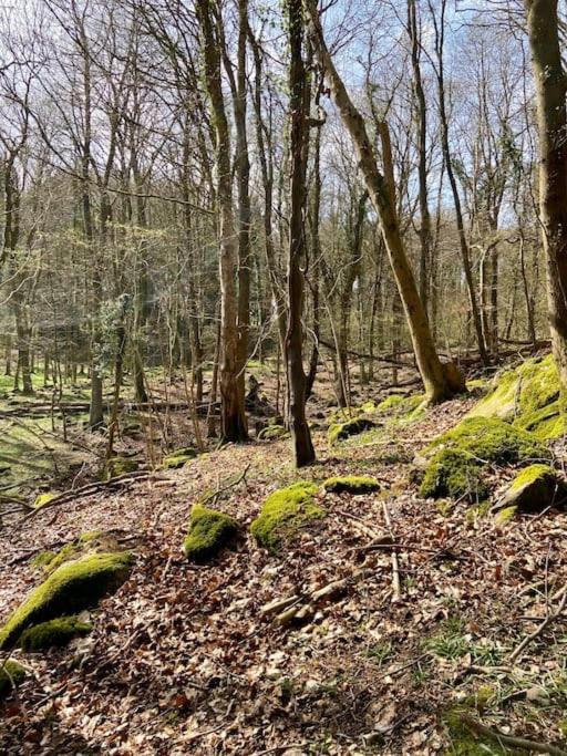 Welsh Newton Common The Mill Stylish Rural Apartment With Beautiful Views מראה חיצוני תמונה