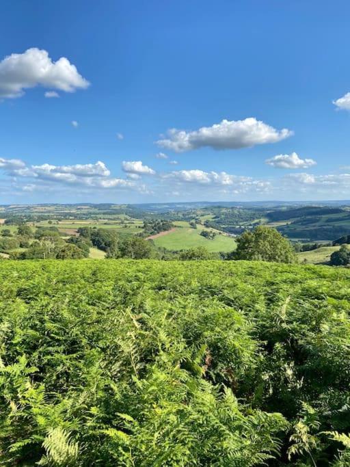Welsh Newton Common The Mill Stylish Rural Apartment With Beautiful Views מראה חיצוני תמונה